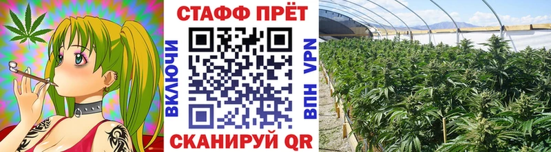 МЕФ Кировград