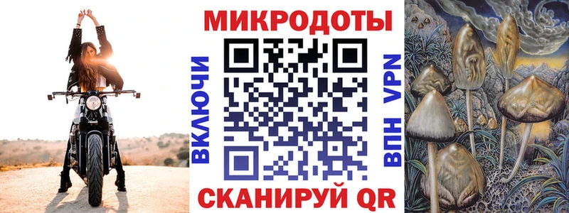 мега как войти  Кировград  Псилоцибиновые грибы Psilocybine cubensis 